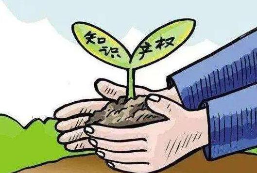 知识产权1.jpg